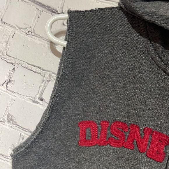 Unisex Gray Sleeveless Disneyland  Hoodie Medium - Picture 8 of 14